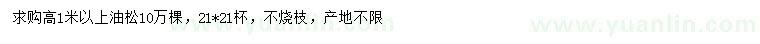 求購高1米以上油松