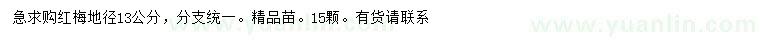 求購地徑13公分紅梅