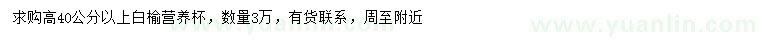 求購高40公分以上白榆