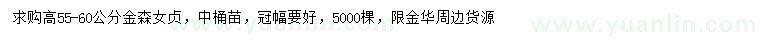 求購高55-60公分金森女貞