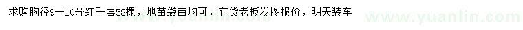 求購胸徑9-10公分紅千層