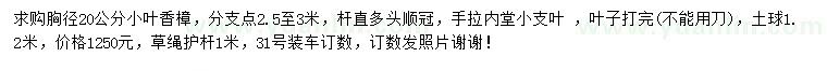 求購胸徑20公分小葉香樟