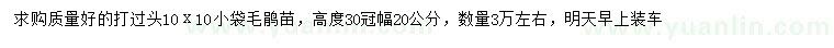 求購(gòu)高30公分毛鵑