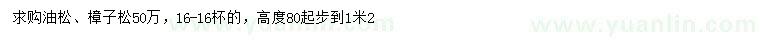 求購(gòu)高0.8-1.2米油松、樟子松