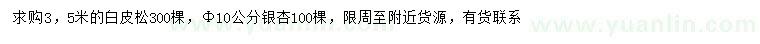 求購3.5米白皮松、胸徑10公分銀杏