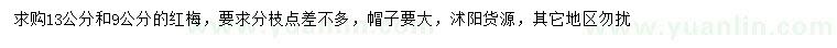 求購9、13公分紅梅