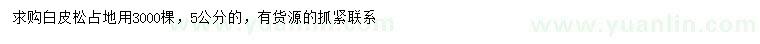 求購5公分白皮松