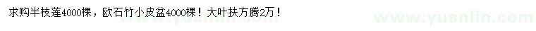 求購(gòu)半枝蓮、歐石竹、大葉扶芳藤