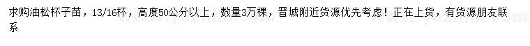求購高50公分以上油松