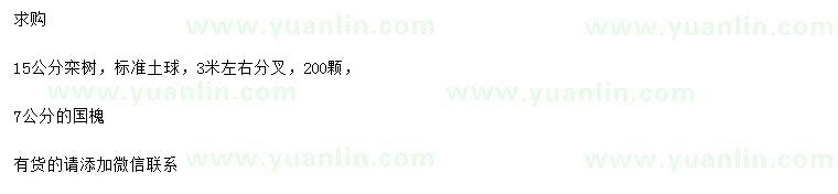 求購15公分欒樹、7公分國槐