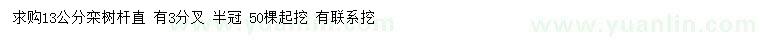 求購13公分欒樹