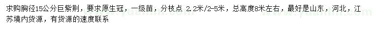 求購胸徑15公分巨紫荊