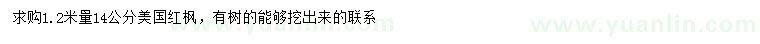 求購1.2米量14公分美國紅楓