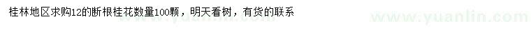 求購12公分桂花