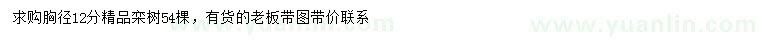 求購胸徑12公分欒樹