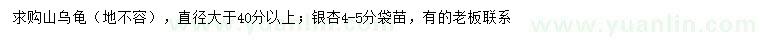求購(gòu)40公分以上山烏龜、4-5公分銀杏