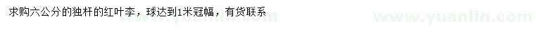 求購6公分紅葉李球