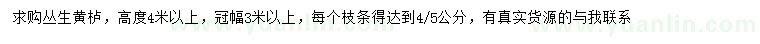求購高4米以上叢生黃櫨