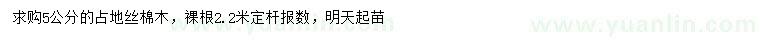 求購5公分的絲棉木