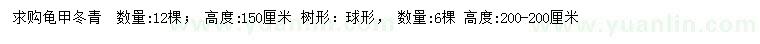 求購高150公分龜甲冬青 