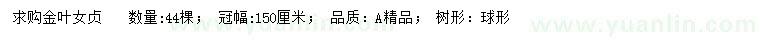 求購(gòu)冠幅150公分金葉女貞 