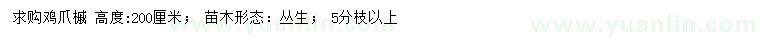 求購高度200公分雞爪槭 