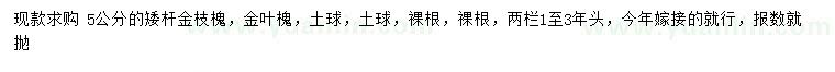 求購5公分金枝槐