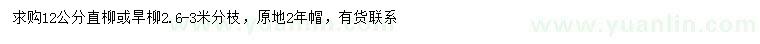 求購(gòu)12公分直柳、旱柳