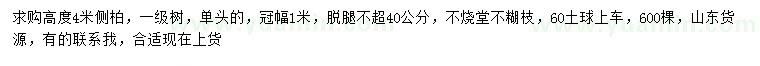 求購高4米側(cè)柏