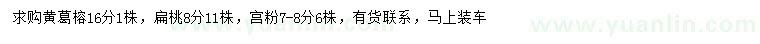 求購黃葛榕、扁桃、宮粉紫荊