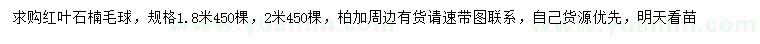 求購1.8、2米紅葉石楠球