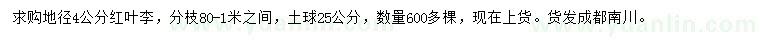 求購地徑4公分紅葉李