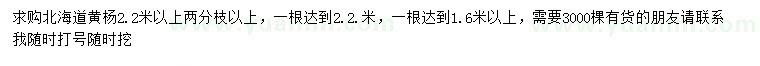 求購2.2米以上北海道黃楊