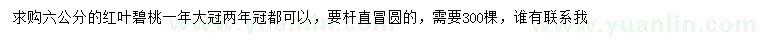 求購6公分紅葉碧桃