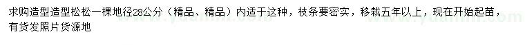 求購(gòu)地徑28公分造型松