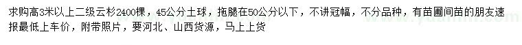 求購高3米以上云杉