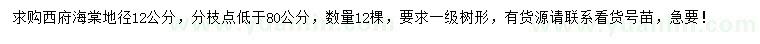 求購地徑12公分西府海棠