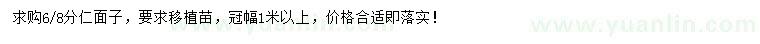 求購6、8公分仁面子