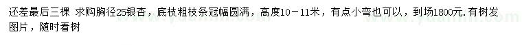 求購胸徑25公分銀杏