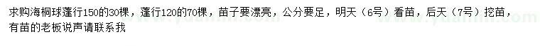 求購冠幅150公分海桐球