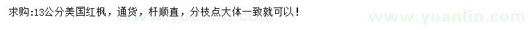 求購13公分美國紅楓