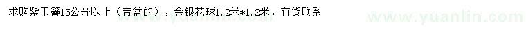 求購(gòu)15公分以上紫玉簪，1.2米金銀花球