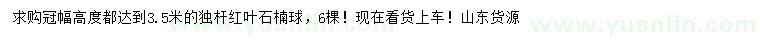 求購冠幅3.5米紅葉石楠球