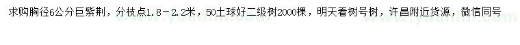 求購胸徑6公分巨紫荊