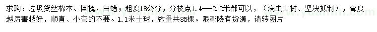 求購(gòu)絲棉木、國(guó)槐、白蠟