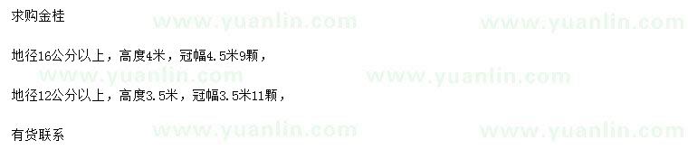 求購(gòu)地徑12、16公分以上金桂