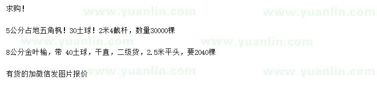 求購5公分五角楓、8公分金葉榆