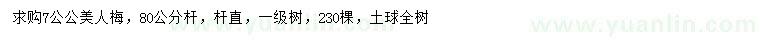 求購7公公美人梅