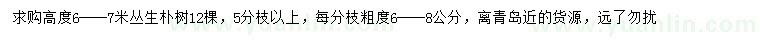 求購高6-7米叢生樸樹