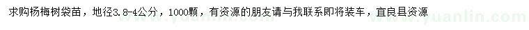 求購(gòu)地徑3.8-4公分楊梅樹(shù)